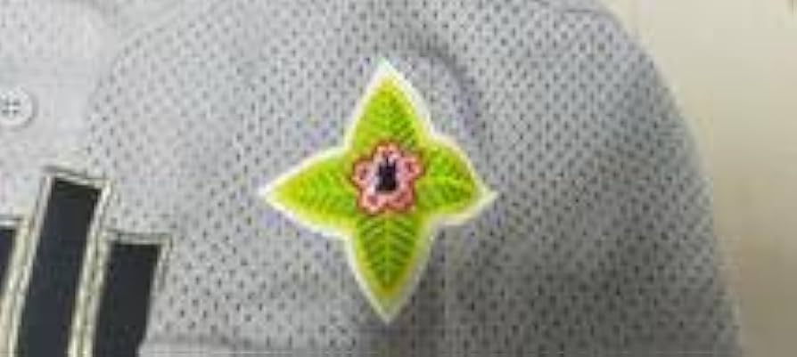 日大山形高校　野球　ユニフォーム 甲子園 SNSで繋がっている日大山形（山形）野球部OBの方からグレーの