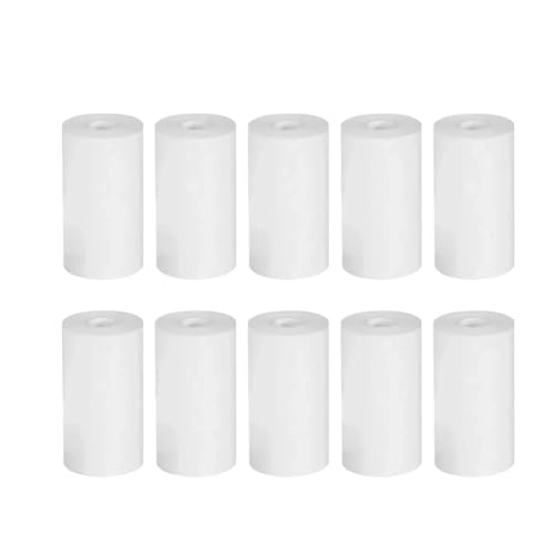 10 ���[�����M���J����������q���J�����؍ރp���v�C���X�^���g�v�����g�q�����[�����O���~�j�v�����^�A�N�Z�T���[(Grayscale Photo)