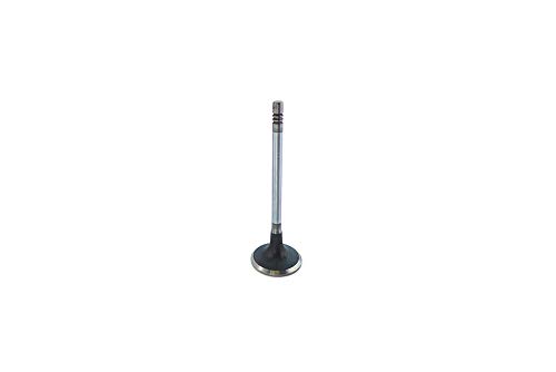 Pot d'échappement BGA V232015.