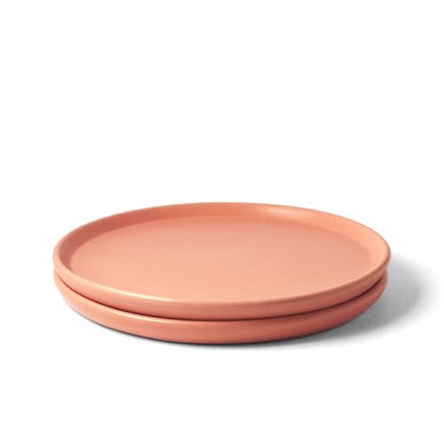 Image of Ceramic Dinner Plates, 2 Pcs | Rim Plate for Easy Eating | Microwave, Oven, Dishwasher Safe | Set of 2 Ceramic Plates for Dinner | Handmade | (Flamingo Pink, Dinner Plate)