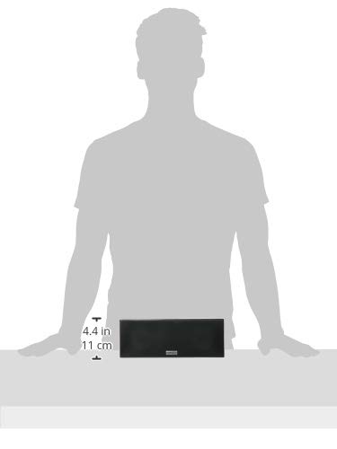 Amazon.co.jp: オンキョー センタースピーカー 木目 D-109XC(D) : 家電