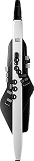 Roland Aerofon AE-20