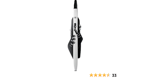 Amazon | Roland/AEROPHONE AE-20 エアロフォン デジタル管楽器