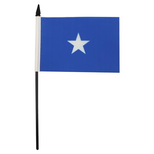 View 3