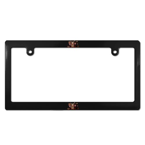 地縛少年花子くん ナンバープレート フレーム ナンバーフレーム 普通車 軽自動車適用 装飾ボーダー タグ装飾 耐久性 カーアクセサリー 錆びにくい おしゃれ ?り物