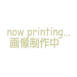 Arte Woody family frame 1L FH-1L (japan import)