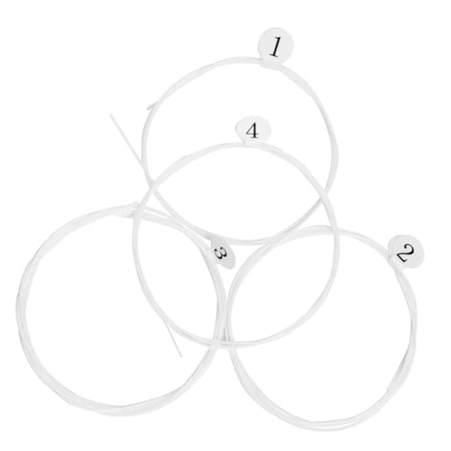 Vaguelly 4 R EN ENp~[WbNC[ EN~[WbNC[ yp[cANZT[ ENANZT[ C[y핔i iC 