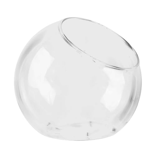 Pflanzenterrarium - Glaspflanzgefäß, runder Vase -Behälter | Open -Air -Halter -Gefäß, schräges Mundtopf -Display, dekorative Gartenglaswaren für saftige Anordnung, Kaktus -Design, Terrariumtankkonsum