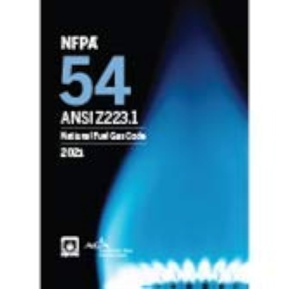 CAREERING｜PLACEBO301 CAREERING Placebo 301 SV Carrier Ring Placibo Earrings