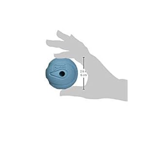 Chuckit the whistler chuck it ball dog toy medium 2 pack  urban country home decor