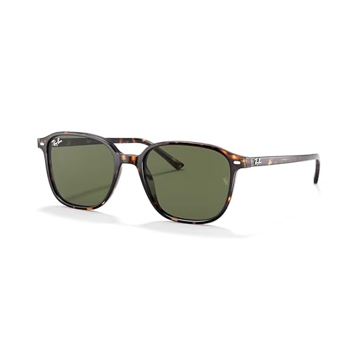 Ray-Ban Leonard RB2193 Square Sunglasses for Men for Women +BUNDLE with ACCESSORY EYEWEAR KIT