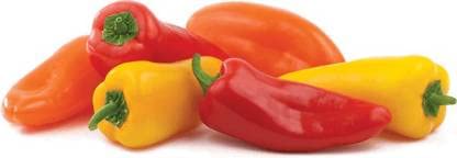Green World F1 HYBRID HOT PEPPER OS 12/ MIRCHI SEEDS FOR KITCHEN GARDENING (10 seeds) (B09KNNW2KS) Amazon Price History, Amazon Price Tracker