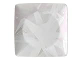 Photo Gallery rosenthal velvet rose 11940-426332-15253 - ciotolina piatta, 12 cm Photo Gallery rosenthal velvet rose 11940-426332-15253 - ciotolina piatta, 12 cm