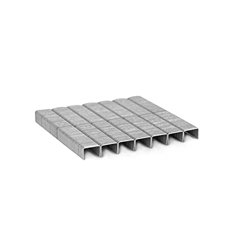 TOOLZILLA Heavy Duty Staples For Staple Gun Pack Of