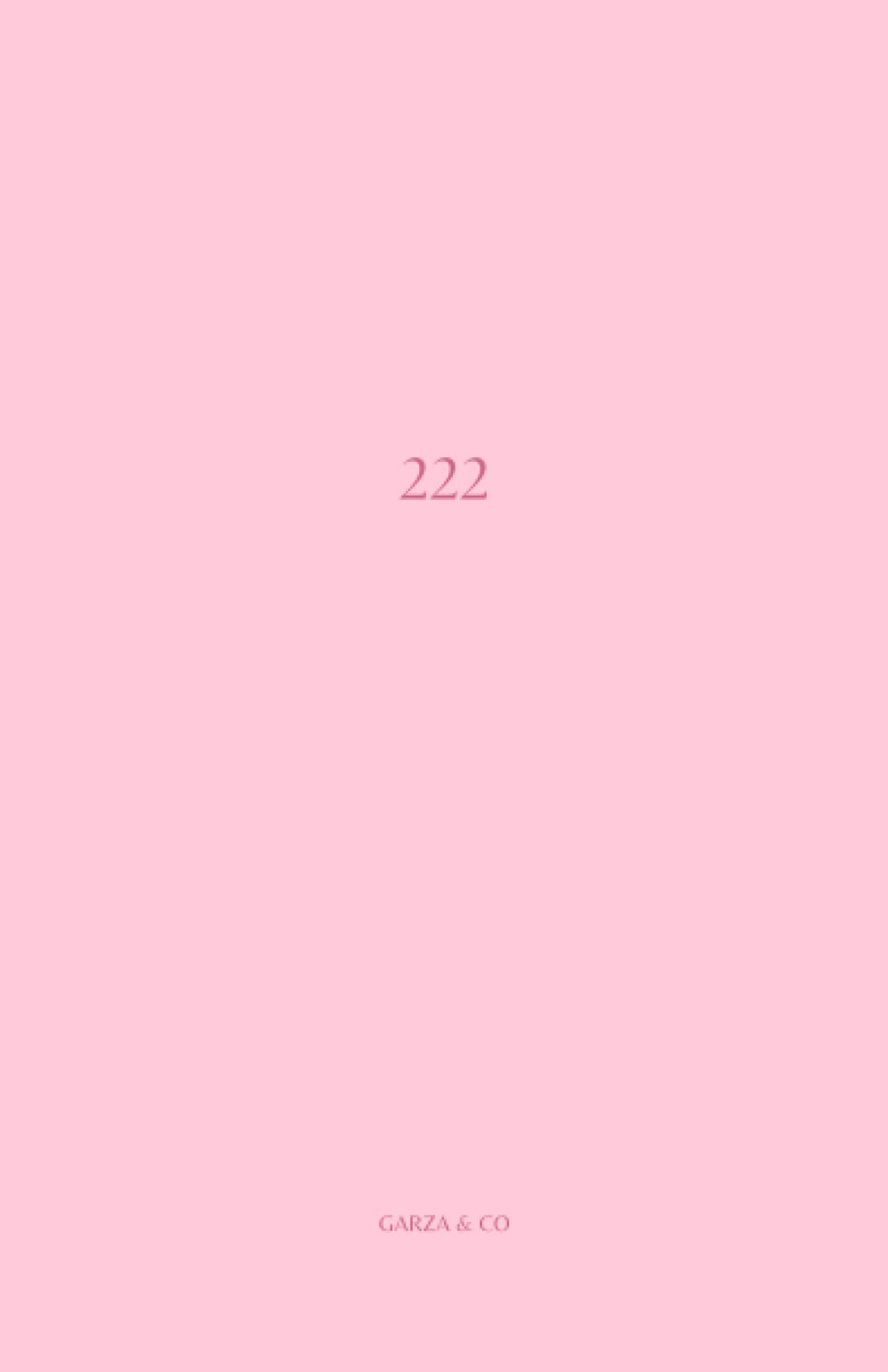 222: Angel Number Lined Notebook Perfect for Scripting, Journaling, Planning, and Taking Notes