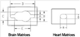 Amazon.com: Stainless Steel Rodent Brain Matrix Large Rat : Pet Supplies