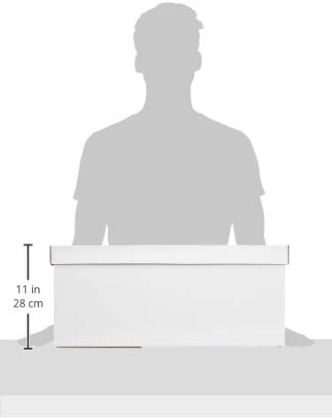 Amazon Basics Medium Duty Storage Filing Box with Lid - Pack of 12, Letter / Legal Size
