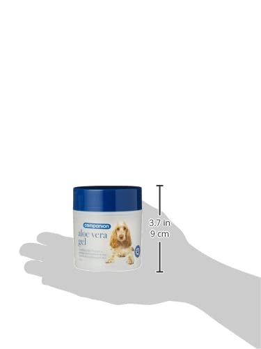 COMPANION 5027286033954 Aloe Vera Gel, fr Hunde geeignet, 125 g :  Amazon.de: Haustier
