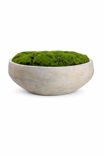 Macomine Design Hand Painted Cement Moss Bowl | 12 Inch | Artificial Moss Centerpiece...