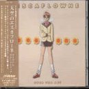 Vision of Escaflowne: Over the Sky