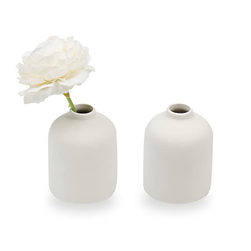 Set of 2 Ceramic Vase for Flower, Small Decorative Flower Vase Set for Home Decor, Living Room, Table, Kitchen, Wedding, Office, White - Cosy Home Interiors Set of 2 Ceramic Vase for Flower, Small Decorative Flower Vase Set for Home Decor, Living Room, Table, Kitchen, Wedding, Office, White