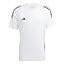 White / Black