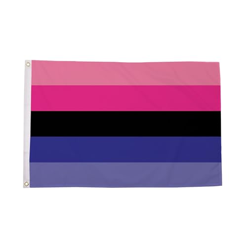 Grand drapeau omnisexuel pour défilé Pride et décoration murale