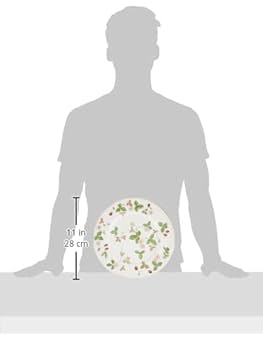 Amazon.com | Wedgwood Wild Strawberry Dinner Plate, 10.7
