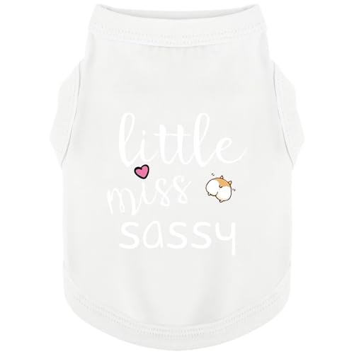 Paiaite Vêtement Chien Gilet Sans Manches 'Little Miss Sassy' Blanc L