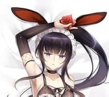 オーバーロード ナーベラル ガンマ フィギュア 抱き枕カバー2点セット Amazon | オーバーロード ナーベラル ガンマ 抱き枕カバー グッズ