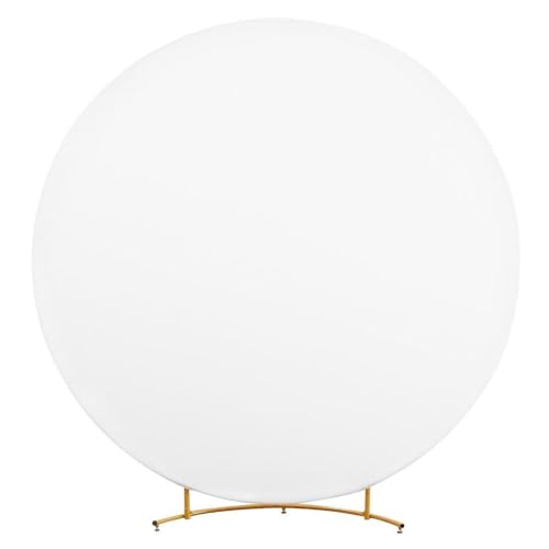 Structure d'arc fleur et fond de cercle pour photobooth d'anniversaire mémorable