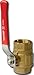 Ball Valve (Buck Algonquin)