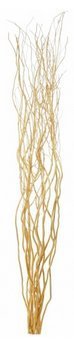 Homestreet Contorted Twisted Willow Twigs Bunch For Floor Standing Vases And Displays 120cm tall in Brown, Black, Silver, Gold or Natural (Gold)