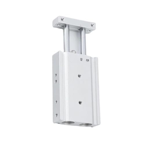 Vérin à double tige anti-rotation CXSM15-100 pour guidage précis