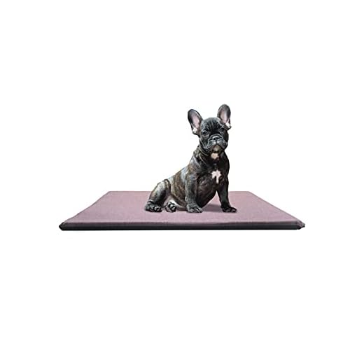 TIENDA EURASIA® Cama para Perros - Colchoneta Acolchada Rellena de Fibra Hueca Siliconada - Cama de Tela Loneta Lavable - Ideal para Perros y Gatos - Fabricadas en España (S - 60x80x4cm, Liso Marron)