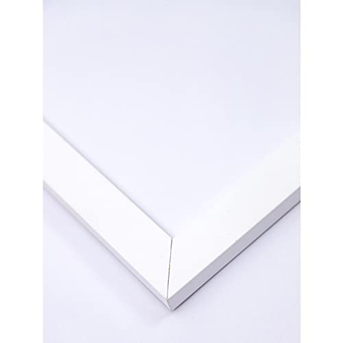 Quadro decorativo Egito anubis mumia brc480