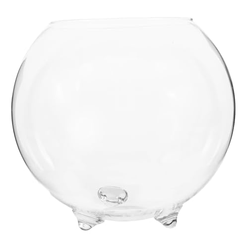 TOPBATHY Glass Hydroponic Vase - Round Transparent Glass Container for Succulents Ferns and Home Decor - 15Cm Versatile Design