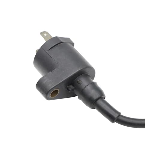 Bobina de encendido para motocicleta de 50, 90, 125 y 150 cc