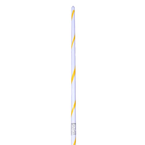 Image of Olympic Grade NHD Champion Javelin Throw Stick
