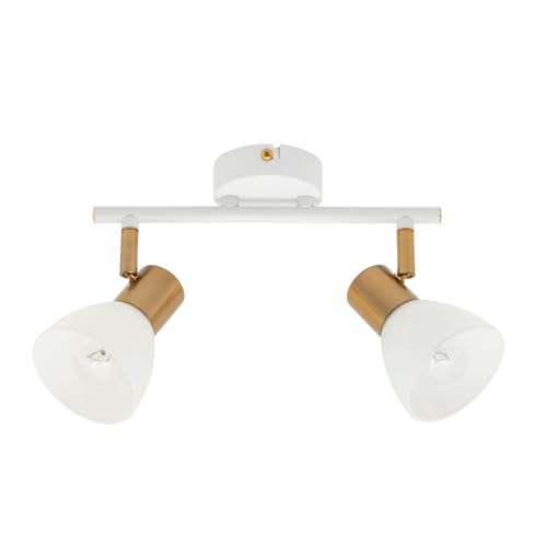 Arte Lamp Lámpara de techo – Plafón para cocina – Lámpara colgante LED con cable para dos bombillas – Lámpara de techo con portalámparas y pantalla blanca