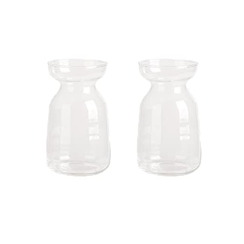 Hyacinth Vase Glass Vases Esmiome - 2Pcs Avocado Vase Hydroponic Glass Bulb Bud Vase Floral Arrangements Artificia Unique Shapes Creative For Tables Centerpieces Wedding Home Decration, Clear #TOP11