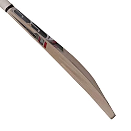 Batte de cricket boys beige 2 SS pour apprendre à frapper