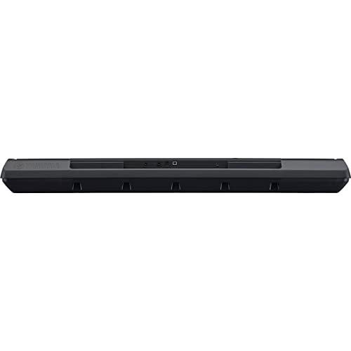 Yamaha PSREW310AD Psrew310 76-Key Touch Sensitive Portable Keyboard thumb #4