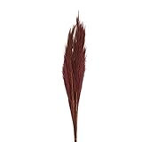 Dijk Natural Collections