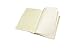 Moleskine Messages Note Card, Large, Plain, Tea Green, Soft Cover (4.5 x 6.75)
