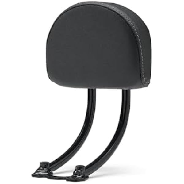 oparcie kierowcy Pasuje do Sportster S 1250 RH1250S 2021 2022 zestaw oparcia pasażera siedzenia krótki pasek Sissy pasażera(B)
