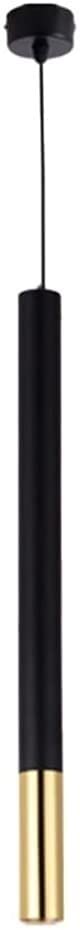HANFCB Ceiling Light Modern Suspension Light Metal Mini Tube Lanterns Cylindrical Pendant Light Black Single Head Hanging Lamp Ceiling Downlight Mini LED Long Tube Pendant Lamp Cylinder Simplicity