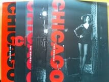 Amazon.co.jp: 米倉涼子 CHICAGO シカゴ パンフレット ボックスケース