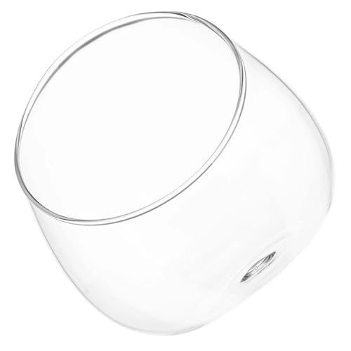 DOITOOL Bol en Verre Biseauté pour Plantes Succulentes Jardinière Écologique Diamètre 15 CM Récipient Transparent pour Mousse Terrarium Hydroponique Décoratif Adapté Bureau et Intérieur