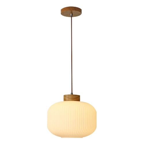 Lustre industriel moderne en verre et sa base E27 pour cuisine